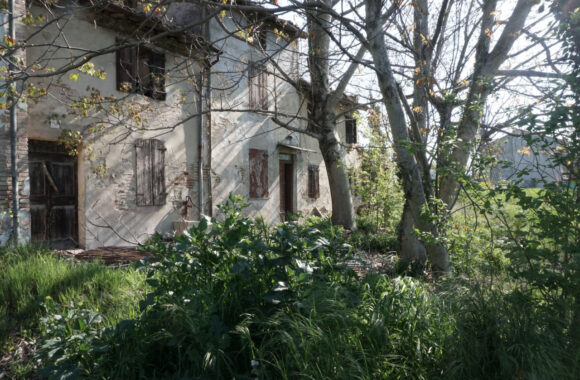 RUSTICO DI CAMPAGNA CON AMPIO TERRENO