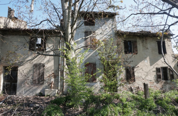 RUSTICO DI CAMPAGNA CON AMPIO TERRENO