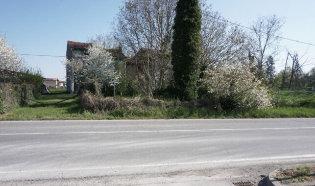 RUSTICO DI CAMPAGNA CON AMPIO TERRENO