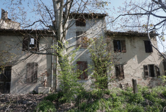 RUSTICO DI CAMPAGNA CON AMPIO TERRENO