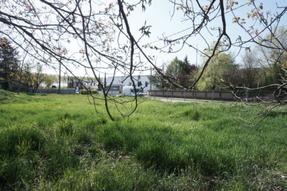 RUSTICO DI CAMPAGNA CON AMPIO TERRENO