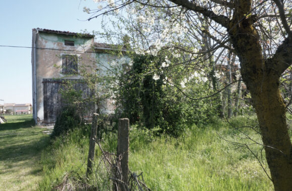 RUSTICO DI CAMPAGNA CON AMPIO TERRENO