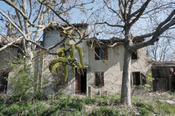 RUSTICO DI CAMPAGNA CON AMPIO TERRENO