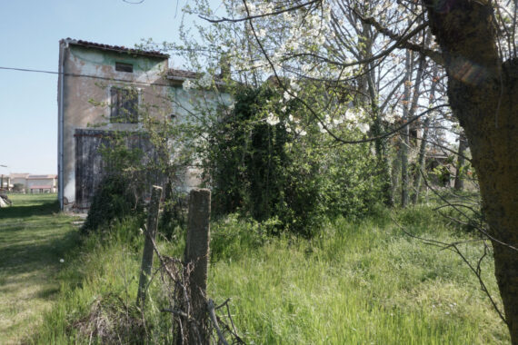 RUSTICO DI CAMPAGNA CON AMPIO TERRENO