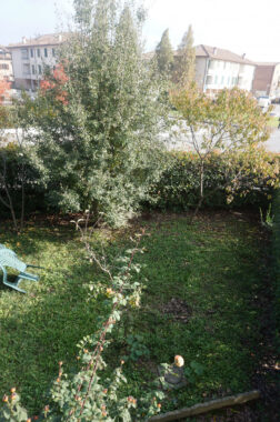 QUADRILOCALE CON GIARDINO E INGRESSO INDIPENDENTE