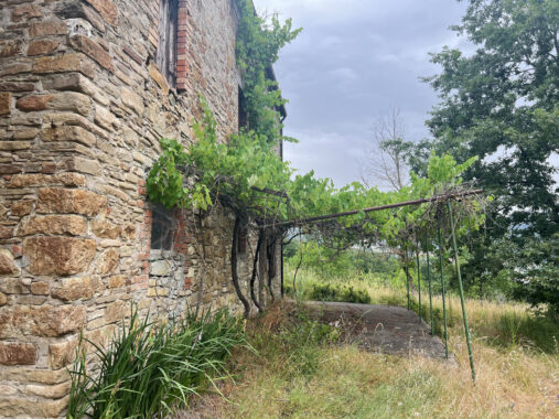 RUDERE IN SASSO CON VISTA SULL’APPENNINO