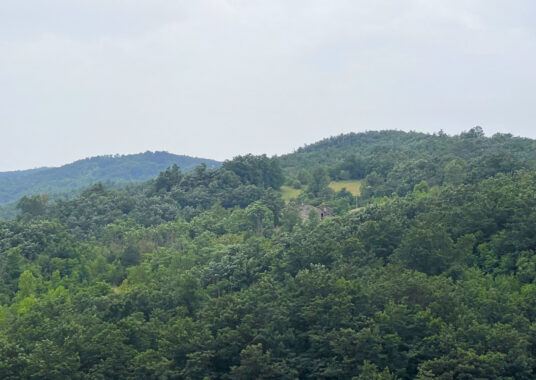 RUDERE IN SASSO CON VISTA SULL’APPENNINO