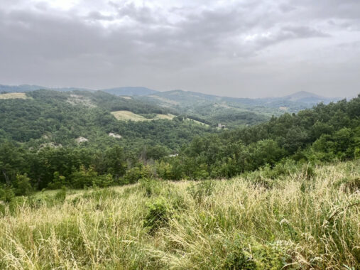 RUDERE IN SASSO CON VISTA SULL’APPENNINO