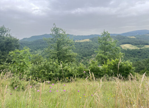 RUDERE IN SASSO CON VISTA SULL’APPENNINO