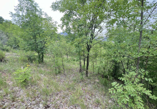 RUDERE IN SASSO CON VISTA SULL’APPENNINO