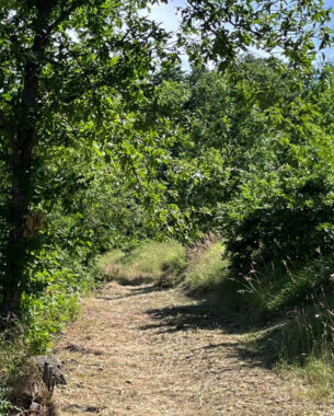 RUDERE IN SASSO CON VISTA SULL’APPENNINO