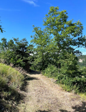 RUDERE IN SASSO CON VISTA SULL’APPENNINO