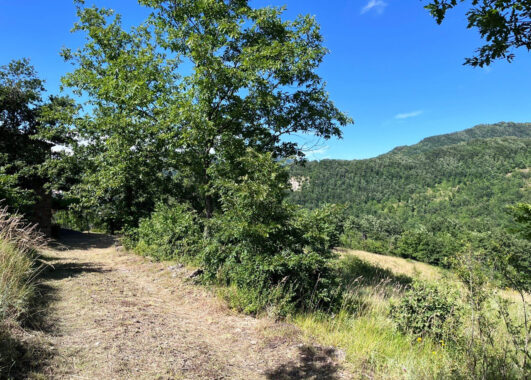 RUDERE IN SASSO CON VISTA SULL’APPENNINO