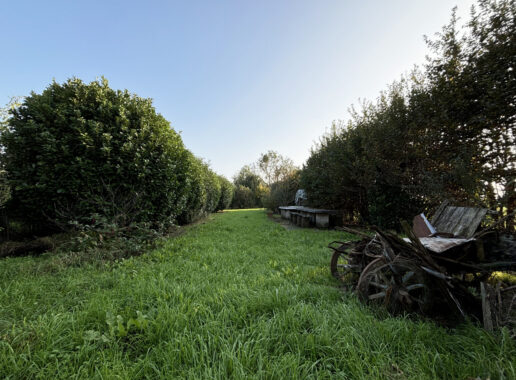 PORZIONE DI CASA DA RISTRUTTURARE CON TERRENO