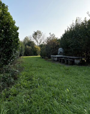 PORZIONE DI CASA DA RISTRUTTURARE CON TERRENO