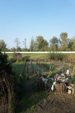 PORZIONE DI CASA DI TESTA CON AMPIO TERRENO CIRCOSTANTE