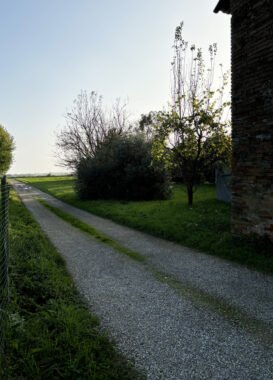 PORZIONE DI CASA DI TESTA CON AMPIO TERRENO CIRCOSTANTE