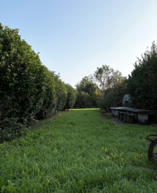 PORZIONE DI CASA DI TESTA CON AMPIO TERRENO CIRCOSTANTE